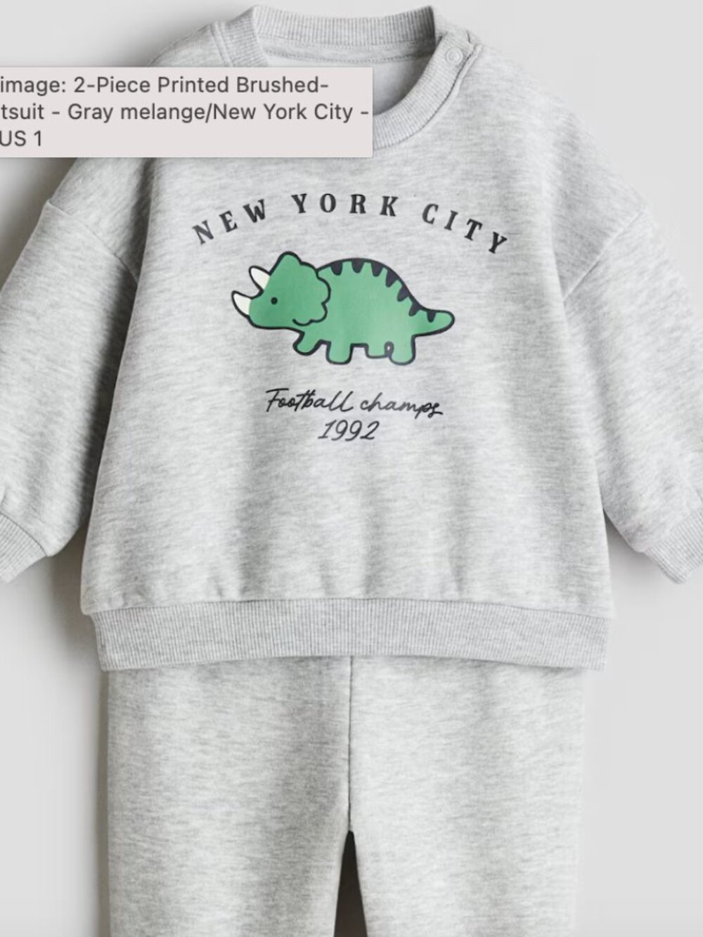 H&M Boy/Girl Toddler 2T Matching Set Sweatsuit Gray New York Dinosaur, Snap deta